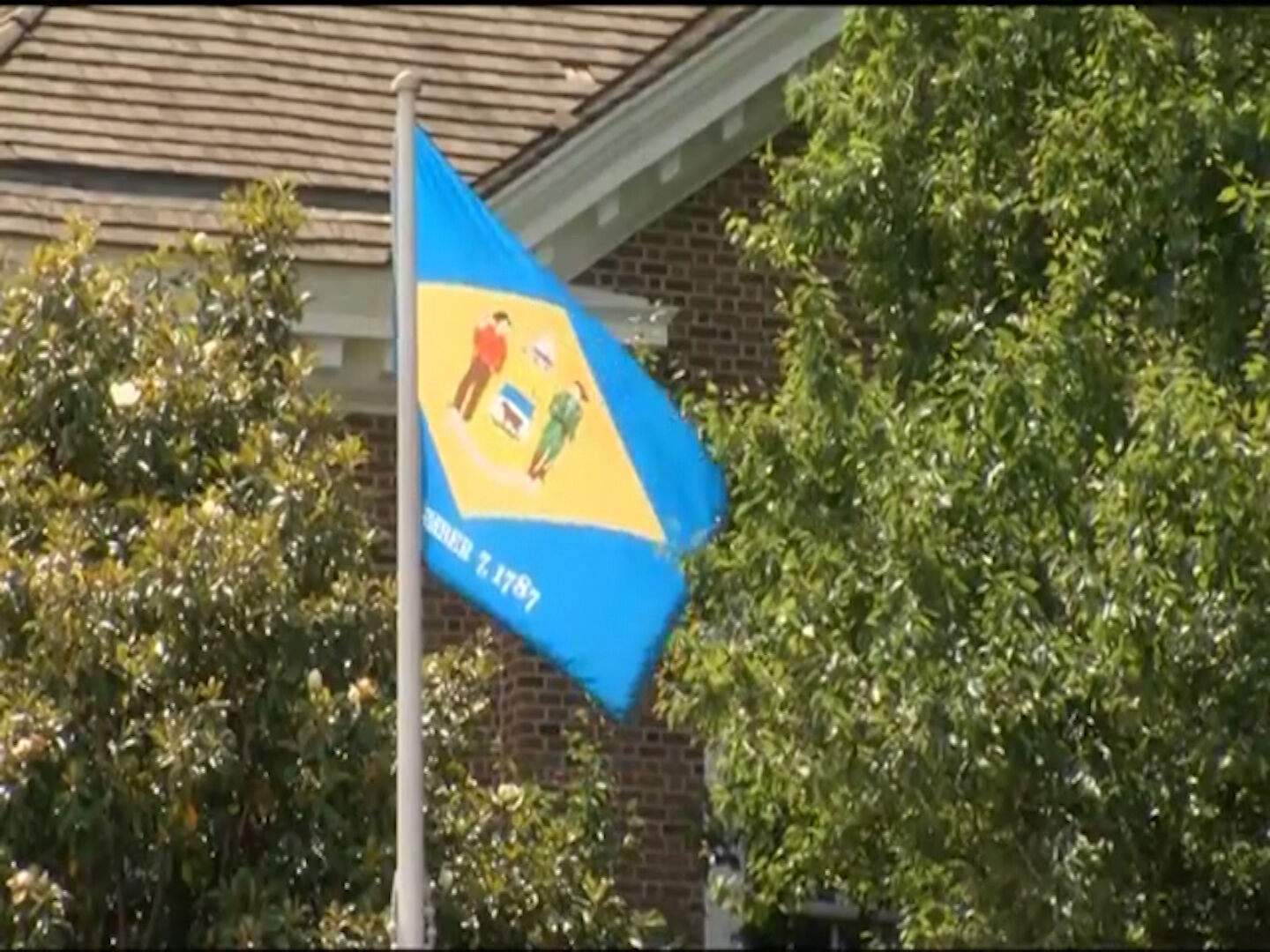 DE state flag
